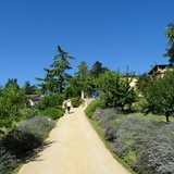 Dit is het pad dat naar de agriturismo leidt. Het land er rondom heen hoort er ook allemaal bij.