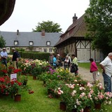 Bloemenmarkt