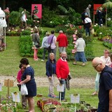 Bloemenmarkt.