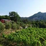 Agriturismo Sostio a Levate in Framura