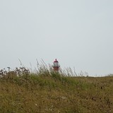 Tussen Domburg en Westkapelle.