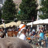 De fameuze equipe van Grijpskerke aan het werk.