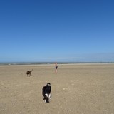 Strandwandeling op dinsdag 4 augustus 2015.