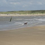 Strandwandeling op dinsdag 4 augustus 2015.