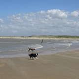 Strandwandeling op dinsdag 4 augustus 2015.