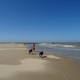 Strandwandeling op dinsdag 4 augustus 2015.