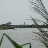 De Baerzandse kreek tussen Groede en Breskens tijdens een fietstocht op woensdag 12 augustus 2015.