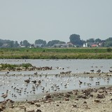 De Baerzandse kreek tussen Groede en Breskens tijdens een fietstocht op woensdag 12 augustus 2015.