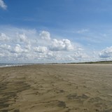 Strandwandeling op zondag 16 augustus 2015.