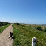 Strandwandeling op zondag 16 augustus 2015.