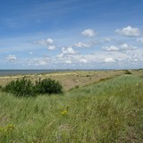 Strandwandeling op zondag 16 augustus 2015.