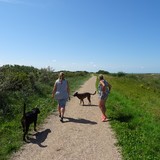 Strandwandeling op zondag 16 augustus 2015.