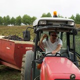 En Wilan was nog zo bang dat we zouden moeten helpen bij het plukken van de druiven!