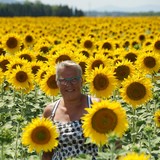 Verplicht nummer als er zonnebloemen zijn en Marijke er bij is.